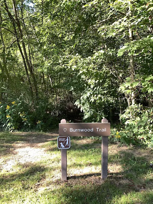 NPS Burnwood Group Campground Picture 10