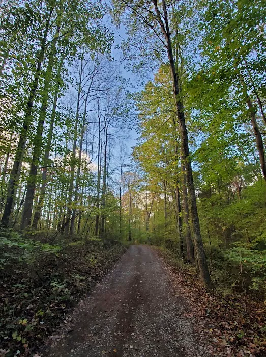 Chestnut Creek Campground Picture 5