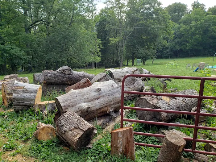 Chestnut Creek Campground Picture 6