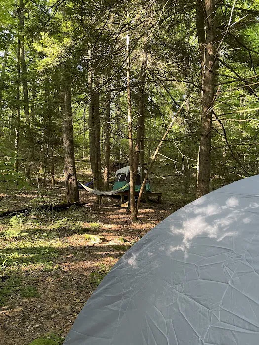 New River Gorge Campground - American Alpine Club Picture 5