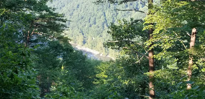 New River Gorge Campground - American Alpine Club Picture 7