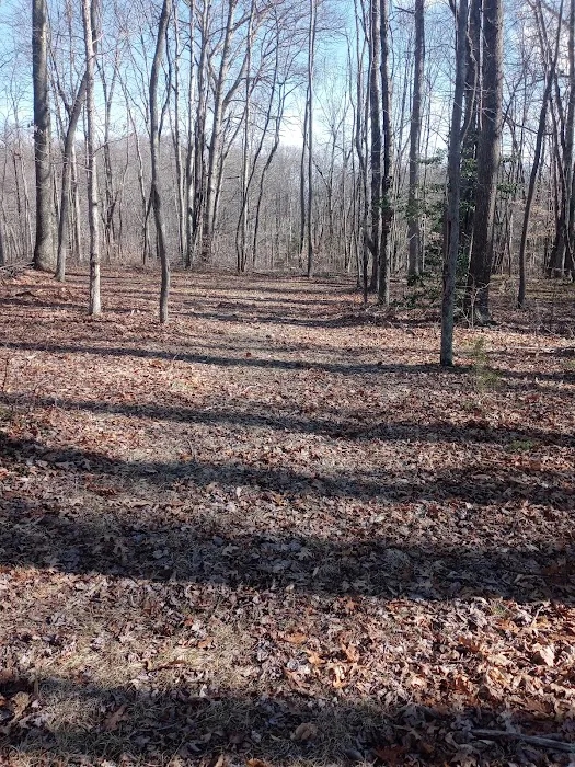 Midland Trail Campground Picture 1