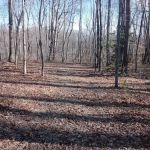 Midland Trail Campground