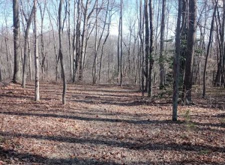 Midland Trail Campground