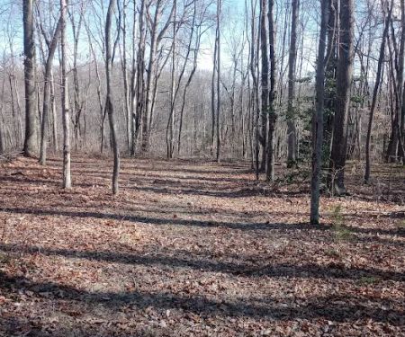 Midland Trail Campground