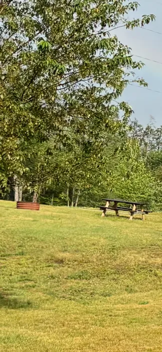 Thornton's RV Resort and Campground Picture 10
