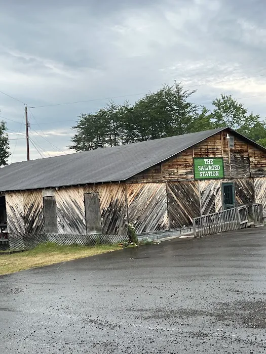 New River Gorge Campground Picture 4