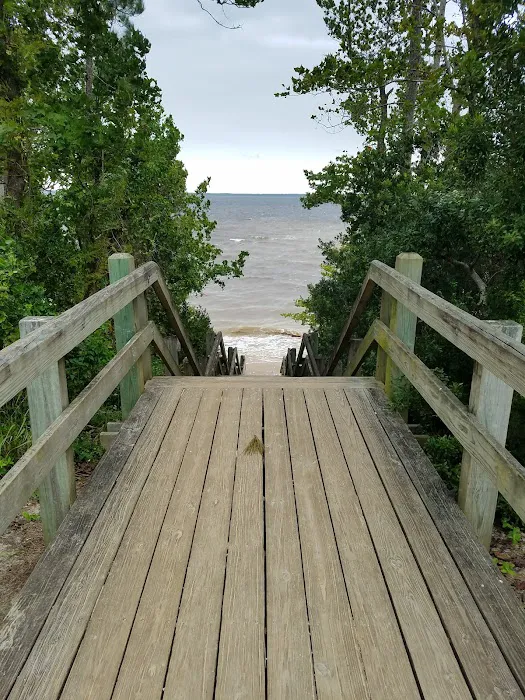 Neuse River Recreation Area Picture 5