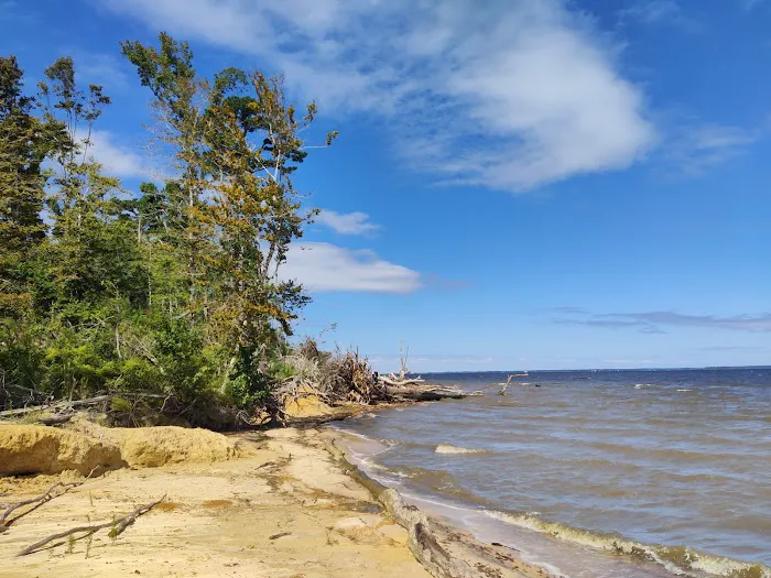 Neuse River Recreation Area Picture 8