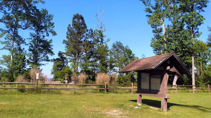 Neuse River Recreation Area Picture 3