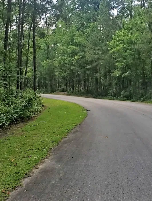 Neuse River Recreation Area Picture 9