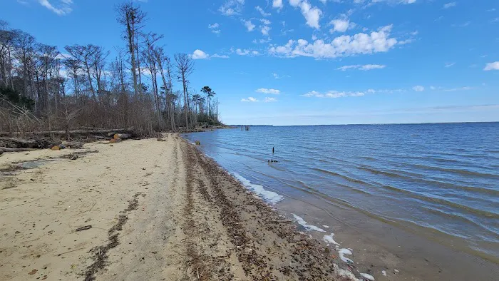 Neuse River Recreation Area Picture 2