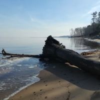 Neuse River Recreation Area ico