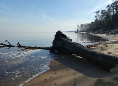 Neuse River Recreation Area