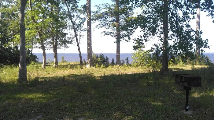 Neuse River Recreation Area Picture 4