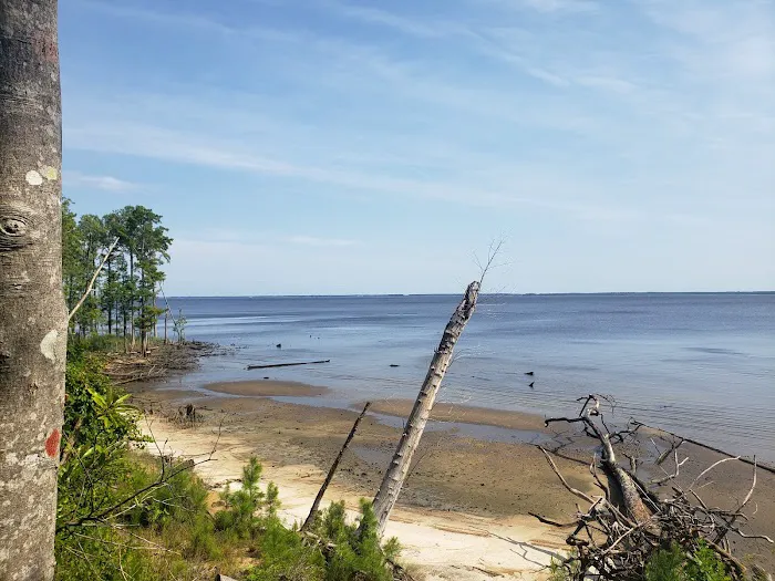 Flanners Beach Campground Picture 1