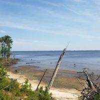 Flanners Beach Campground ico