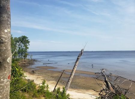 Flanners Beach Campground