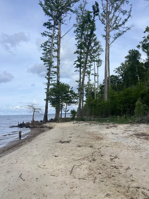 Flanners Beach Campground Picture 3