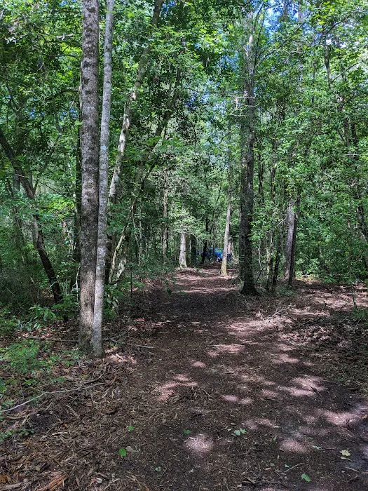 Dragonfly Trail Picture 2