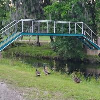 White Oak River Campground ico
