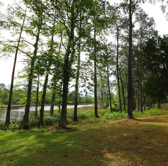 Long Creek RV Park Picture 4
