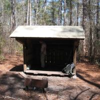 Dogwood Shelter ico