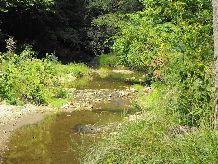 Rippling Stream Campground Picture 6