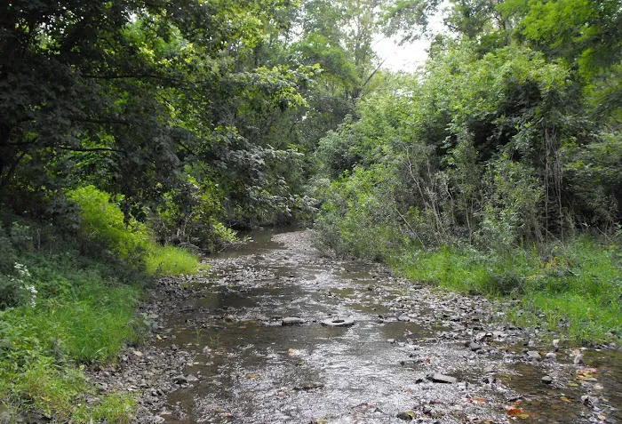 Rippling Stream Campground Picture 7