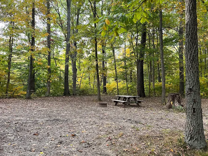 Jackson Lake Campground & Park Picture 4
