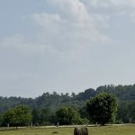 River Front Campground LLC