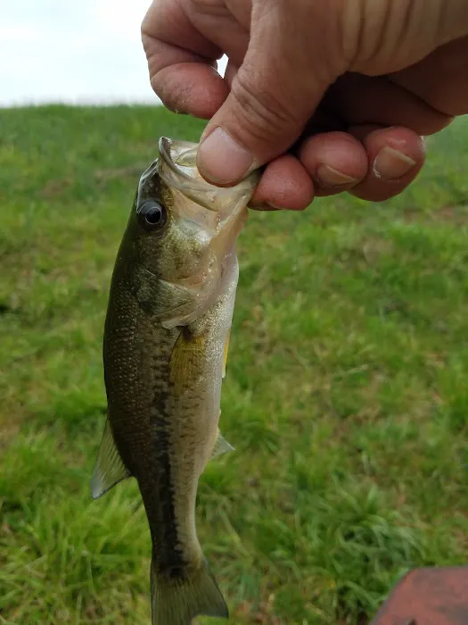 Timber Ridge Lake Picture 6