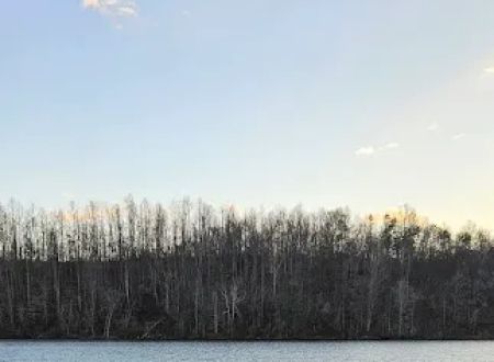 Timber Ridge Lake