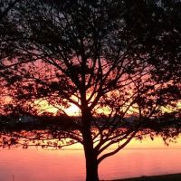Sunrise Shores Manufactured Housing Community ico