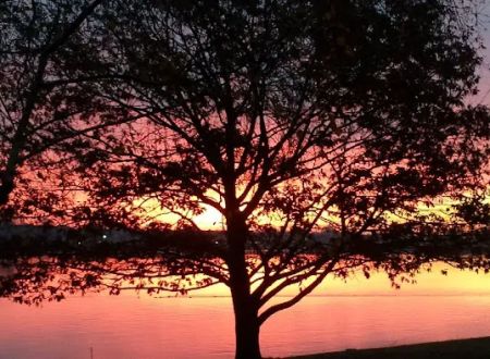 Sunrise Shores Manufactured Housing Community