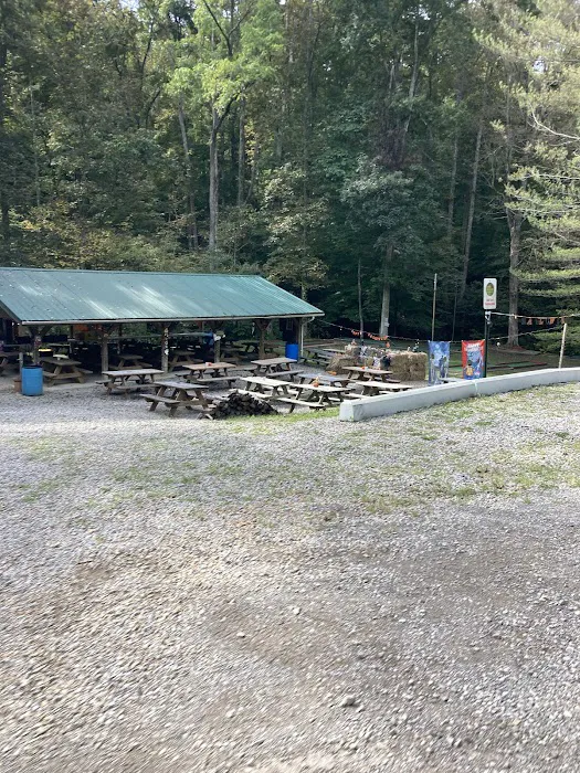 Lost Hollow Picture 1