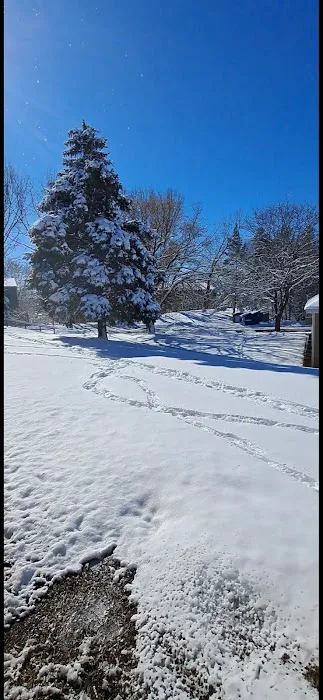 Cottage Grove Picture 6