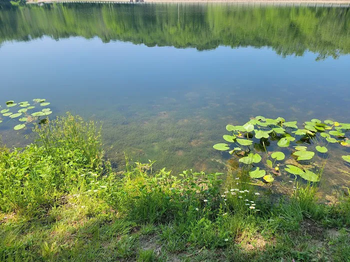 Lake Alma State Park Campground Picture 8