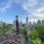 Rosemount Woods