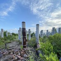 Rosemount Woods ico