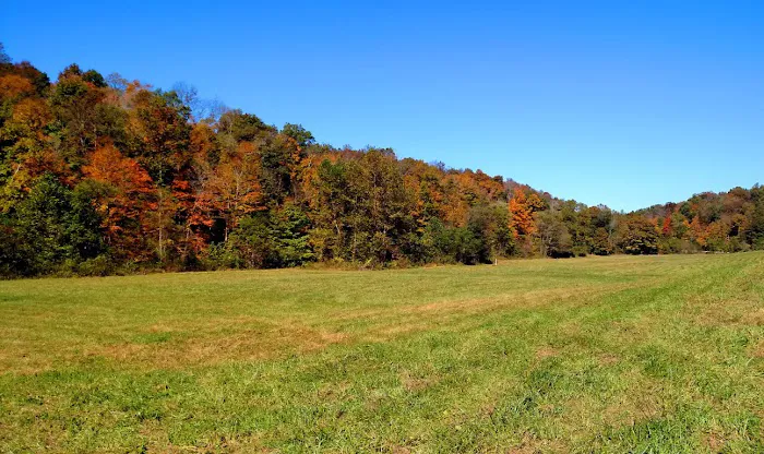 Altenbrauch Farm Picture 8