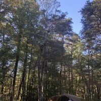 Hocking Hills Group Camping ico