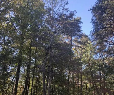 Hocking Hills Group Camping