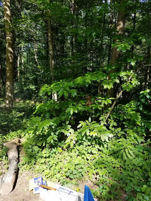 Hocking Hills Group Camping Picture 10
