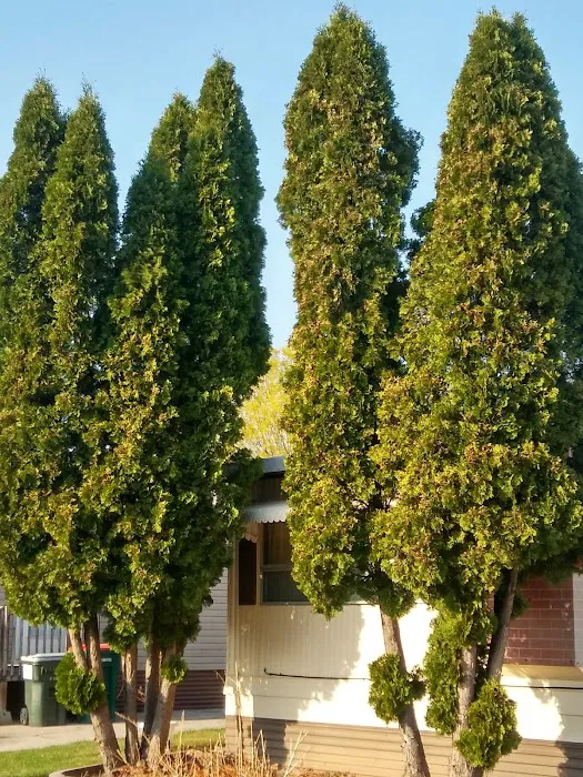 Rocky Creek Estates MHC Picture 7