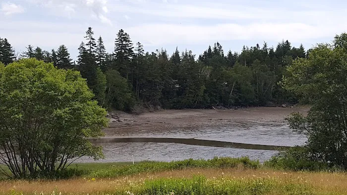 Sunset Point Campground Picture 4