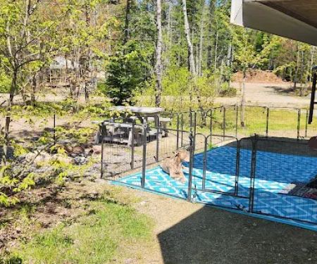 Cottonwood Camping & RV Park
