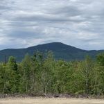 Crystal Brook Camping