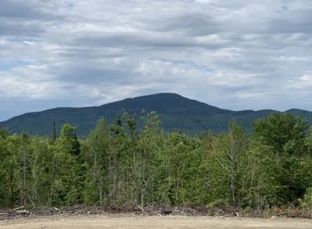 Crystal Brook Camping