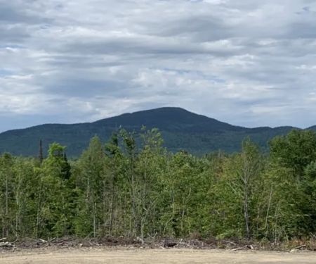 Crystal Brook Camping